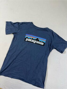 Patagonia Classic Logo T-Shirt